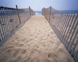 Fenced pathway leading down to the Atlantic Ocean, Carolina Beach, North Carolina, USA